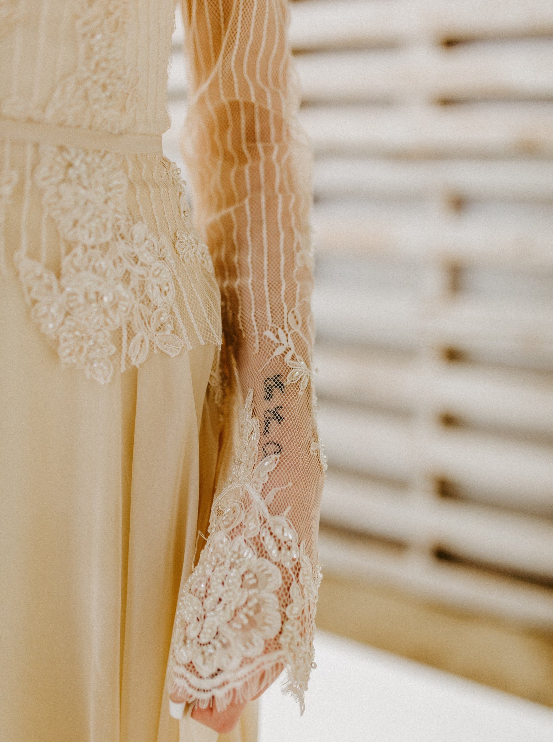 Ivory Corded & Beaded Lace - Iris