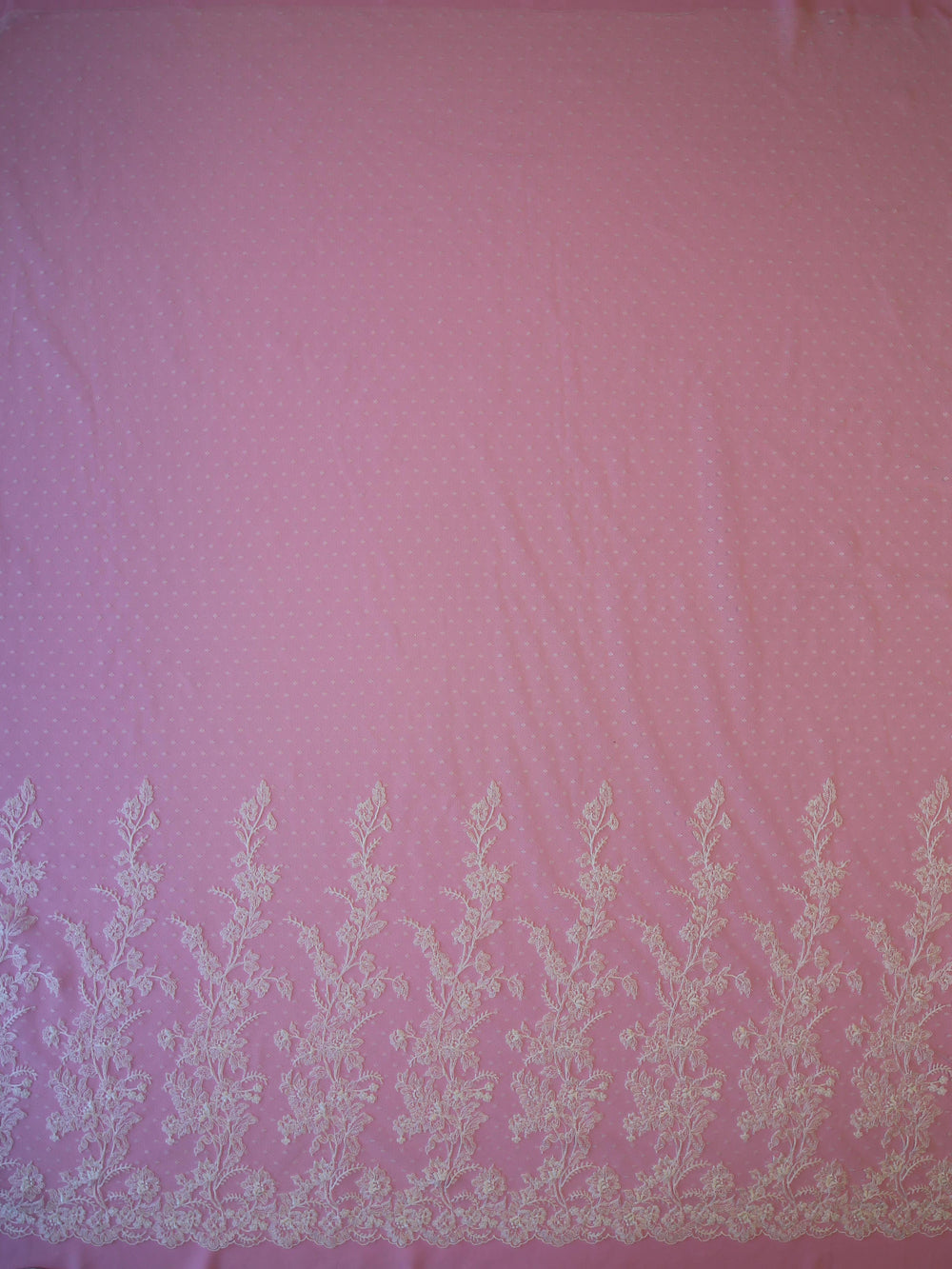 Ivory Corded Lace P633 main image 1