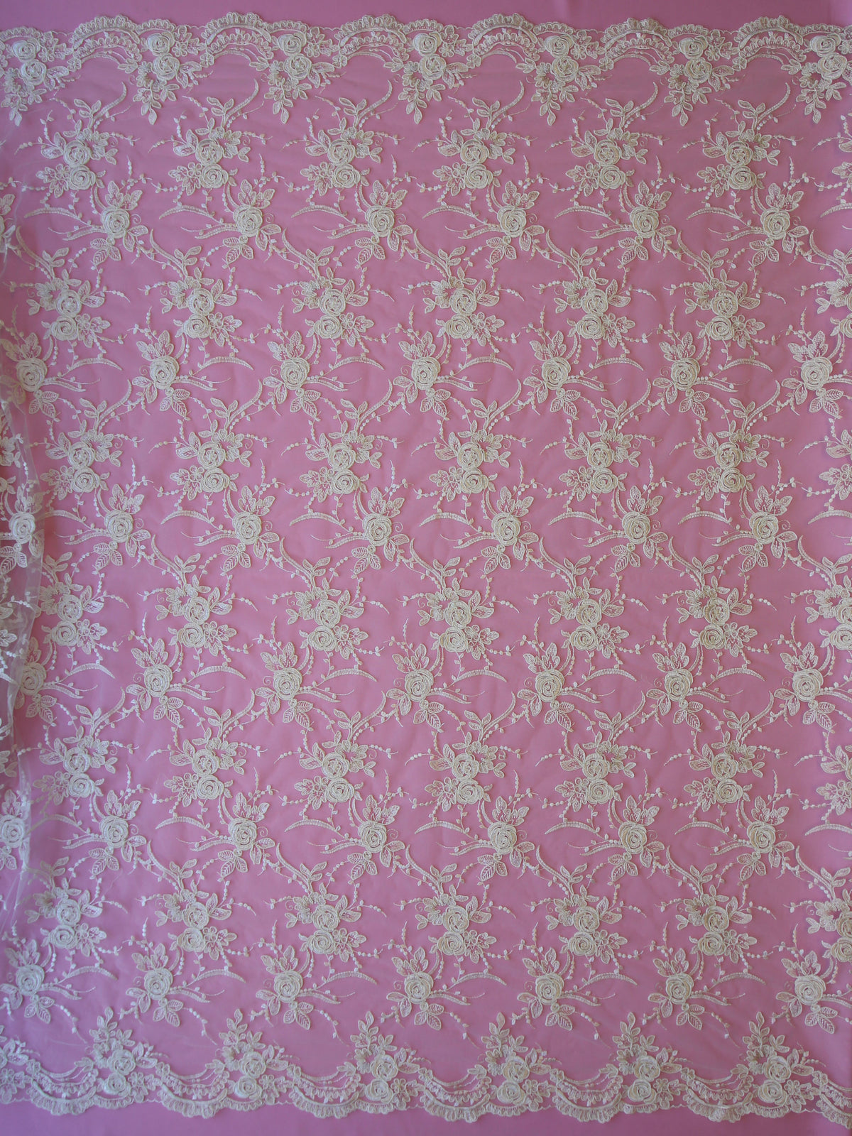 Ivory Corded Lace Nadia
