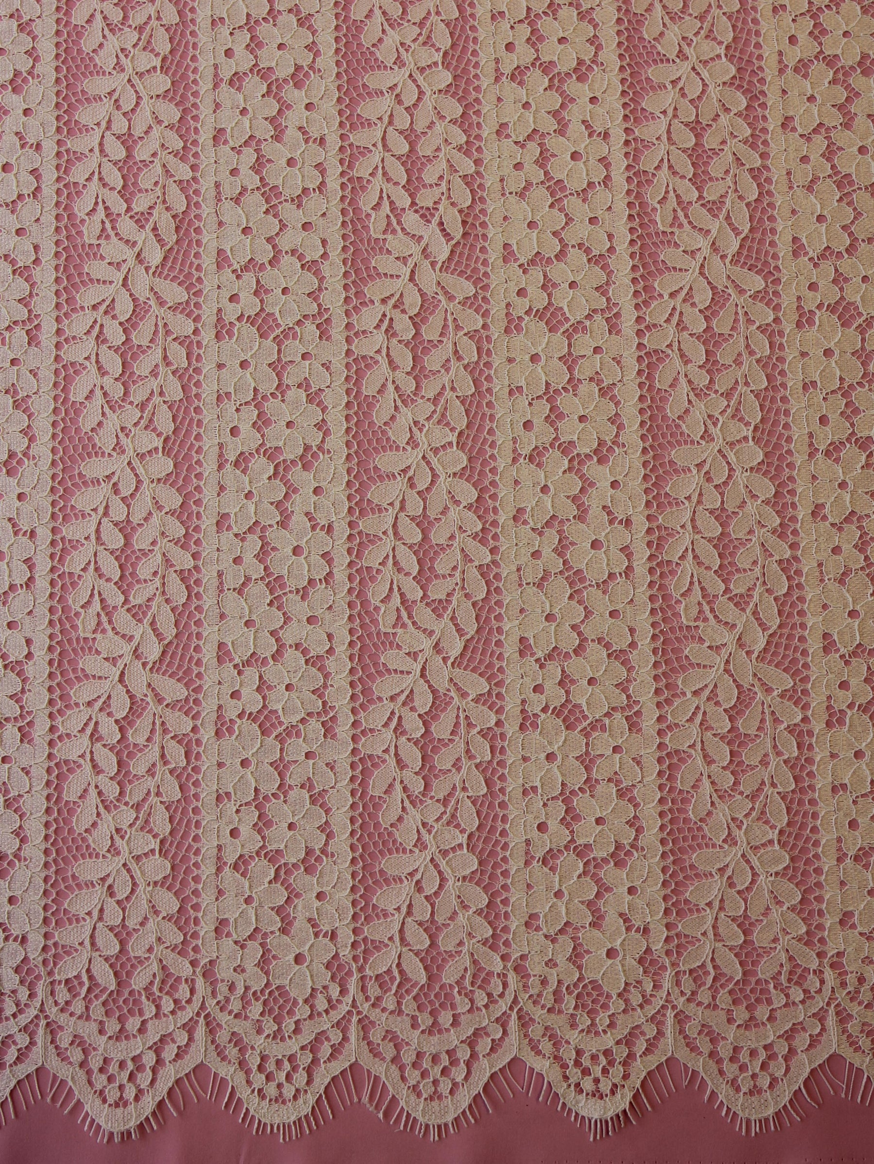 Ivory Corded Lace Panel - Rita