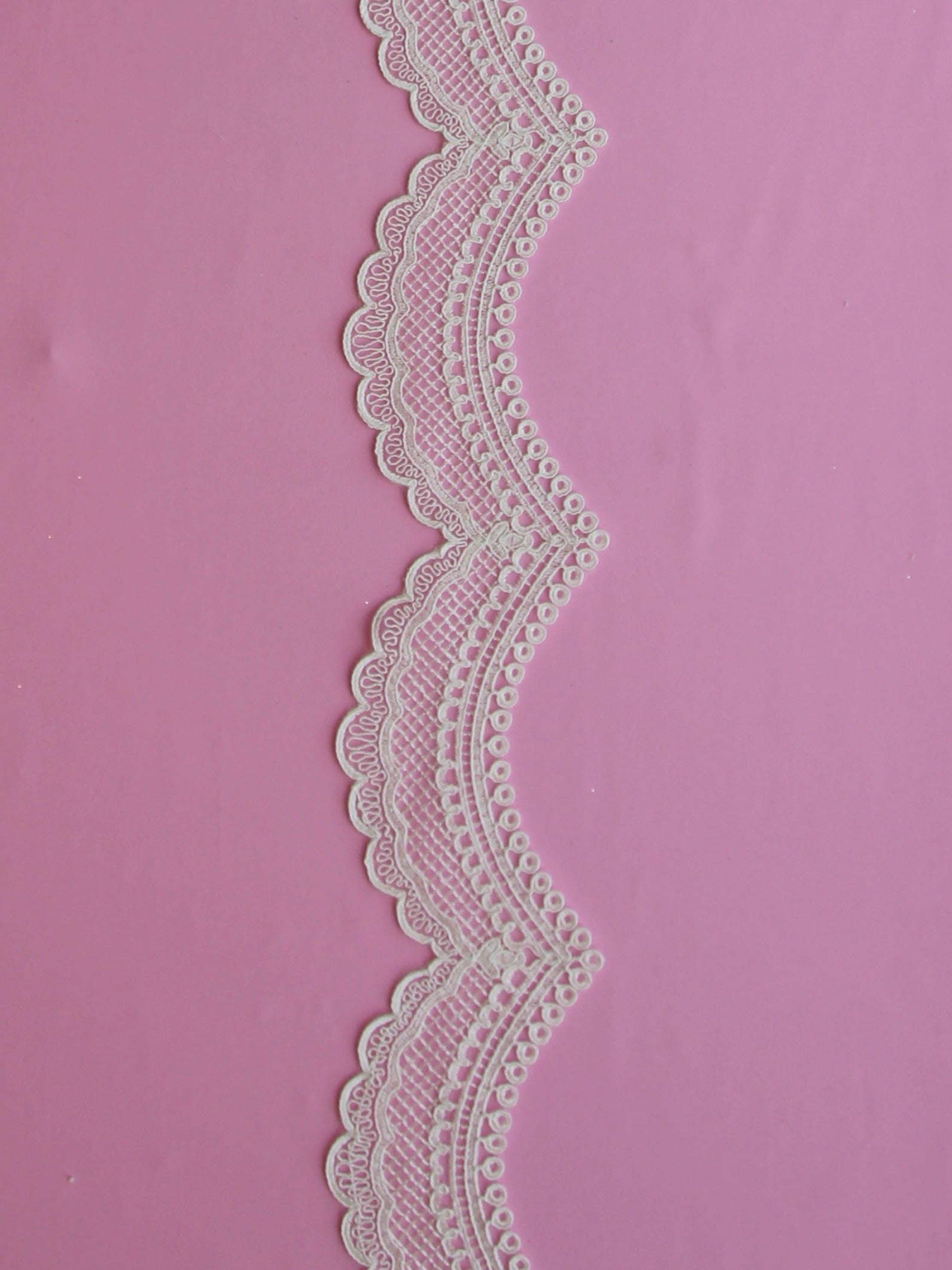 Ivory Corded Lace Trim - Elodea