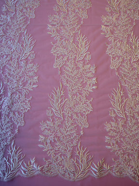 Ivory Embroidered Lace - Asia