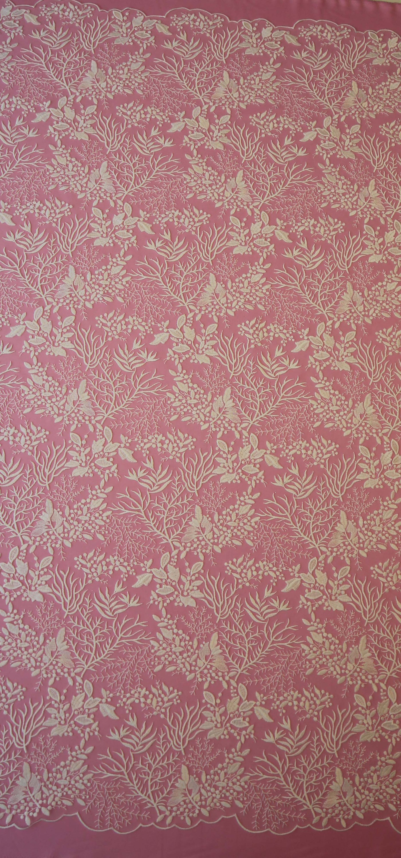 Ivory Embroidered Lace Colette main image 1