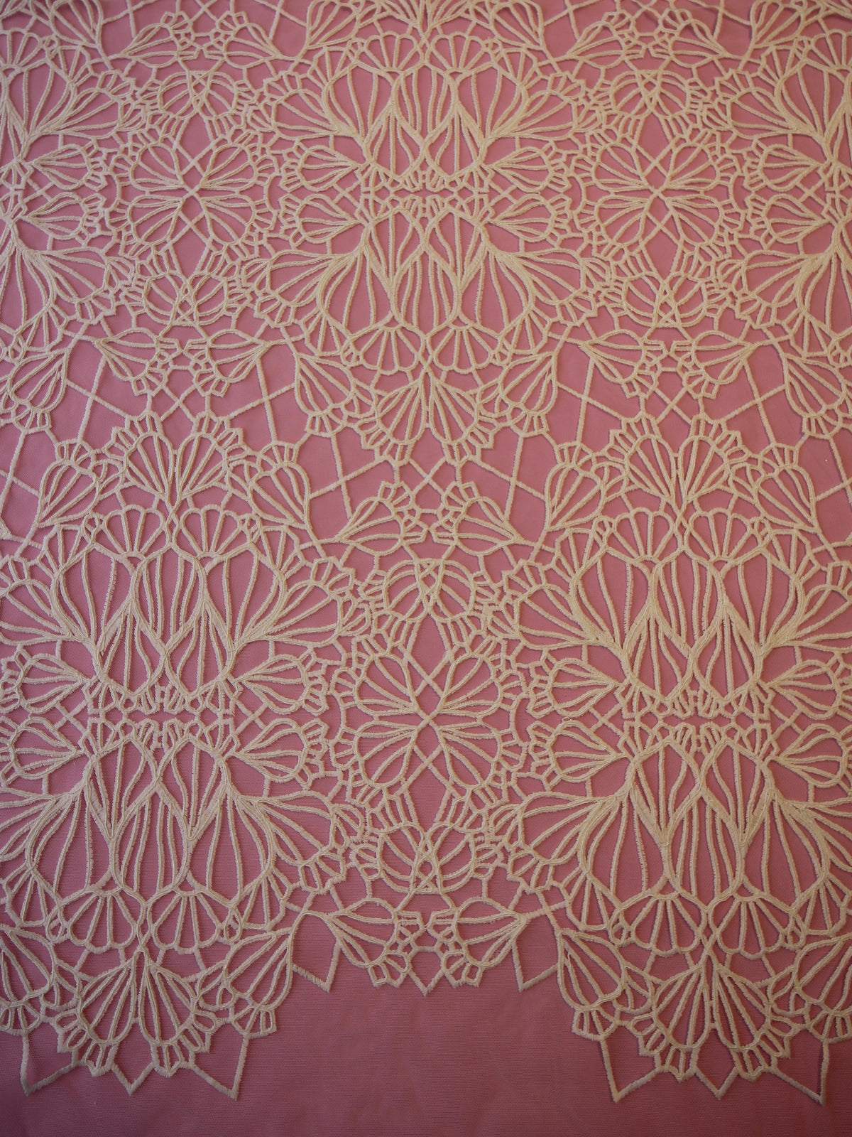 Ivory Embroidered Lace - Daria