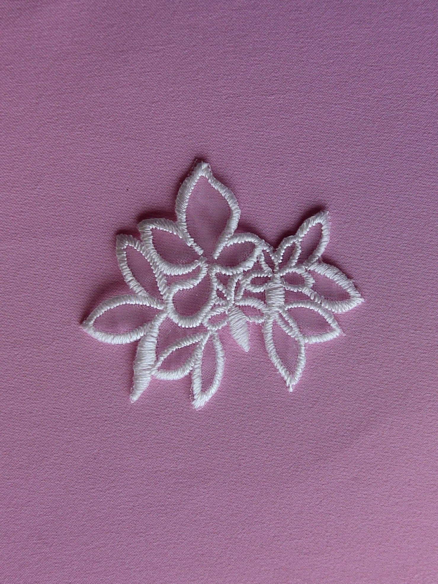 Ivory Embroidered Flower - Limonium (Bags of 10)