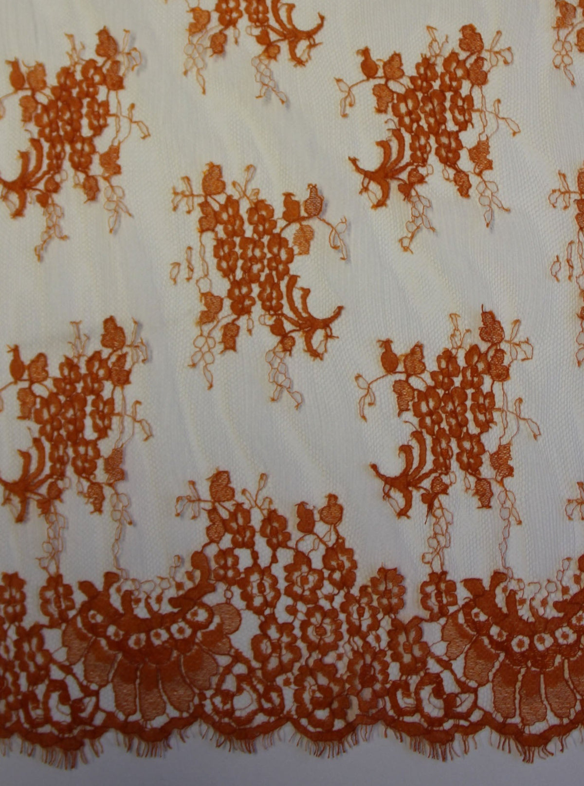 Orange Lace - Lillian