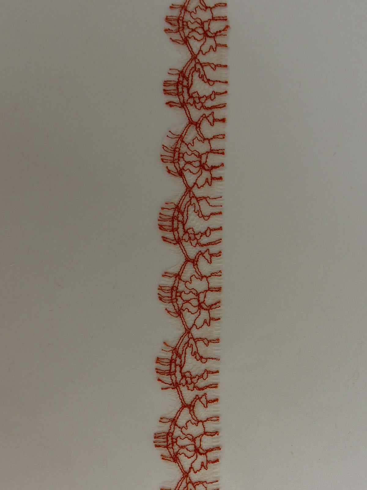 Fresh Orange Lace Trim – Anna