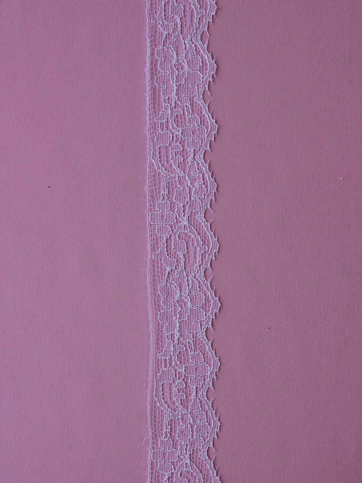 White Chantilly Lace Trim - Georgia